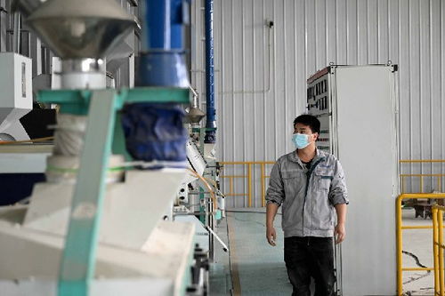 產(chǎn)業(yè)煥新推進鄉(xiāng)村振興 直擊小崗村新發(fā)展