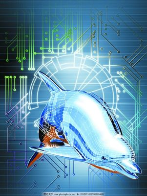 三維鯨魚(yú)圖片