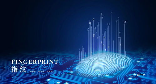 33,000英尺丨科技讓戶外更美